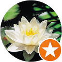 Christopher Brickey profile picture